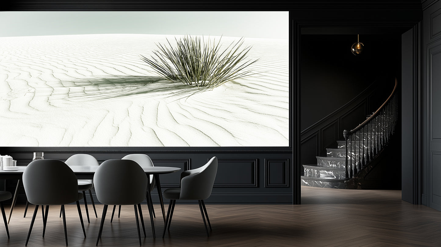 Solitary Desert Plant wallpaper - XWALLX