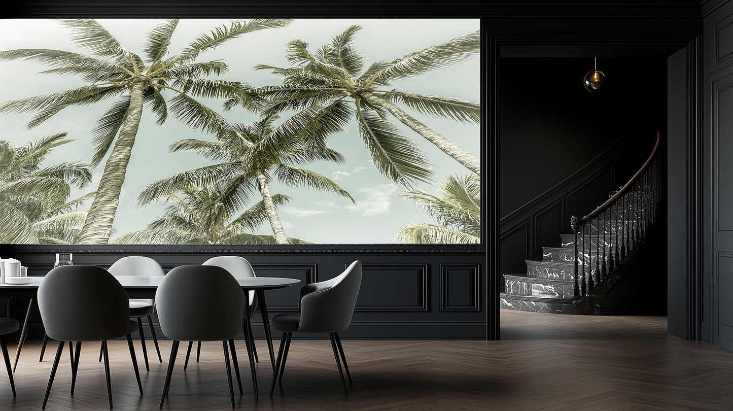 Serene Palm Canopy wallpaper - XWALLX