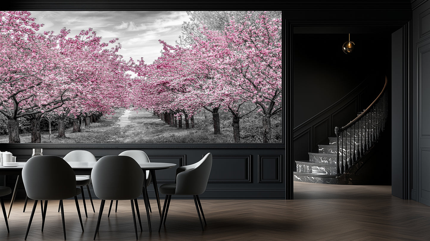 Pink Blossom Avenue wallpaper - XWALLX