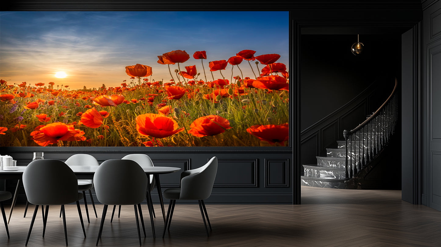 Sunset Poppy Field wallpaper - XWALLX