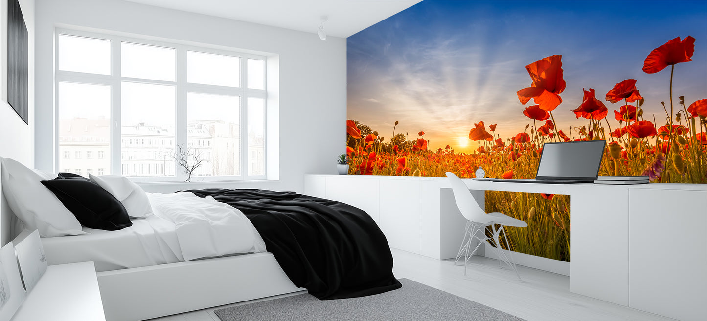 Golden Poppy Sunset wallpaper mural - XWALLX