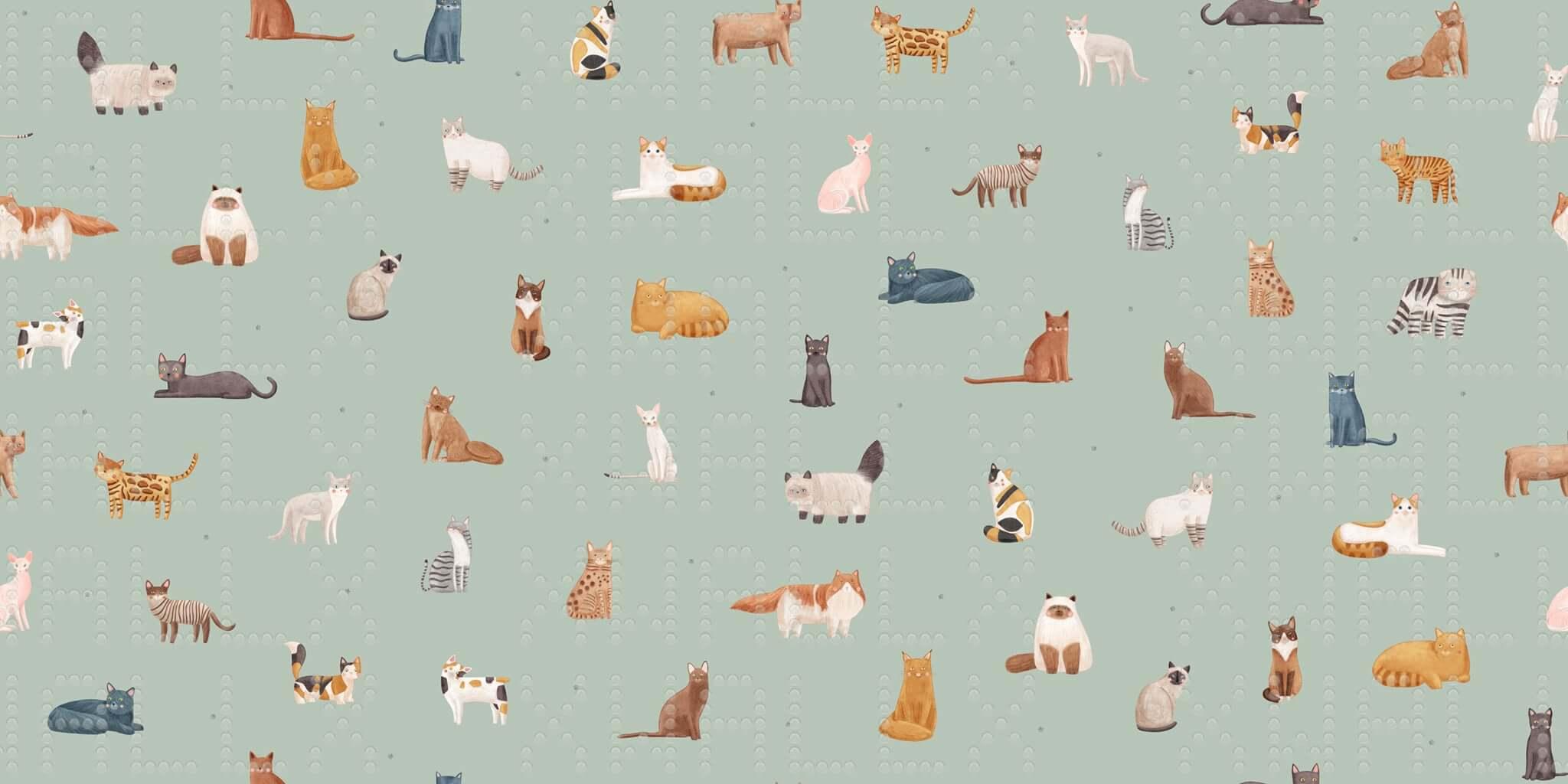 Çekici Kedi Koleksiyonu Poster Duvar Kağıdı