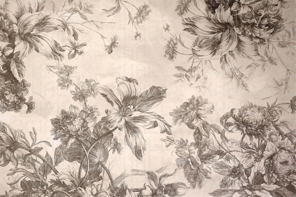 Zarif Floral Eskiz Duvar Posteri - Sample