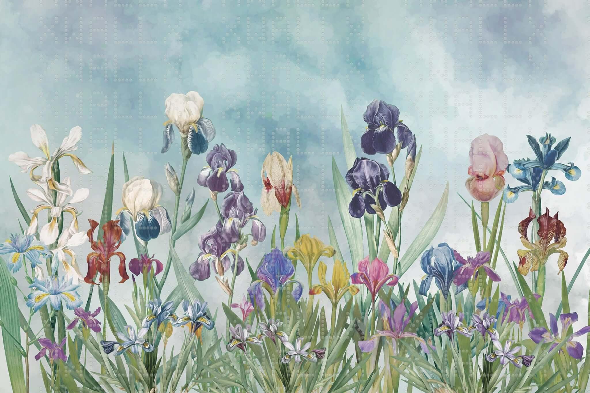 Vibrant Floral Iris Wall Mural