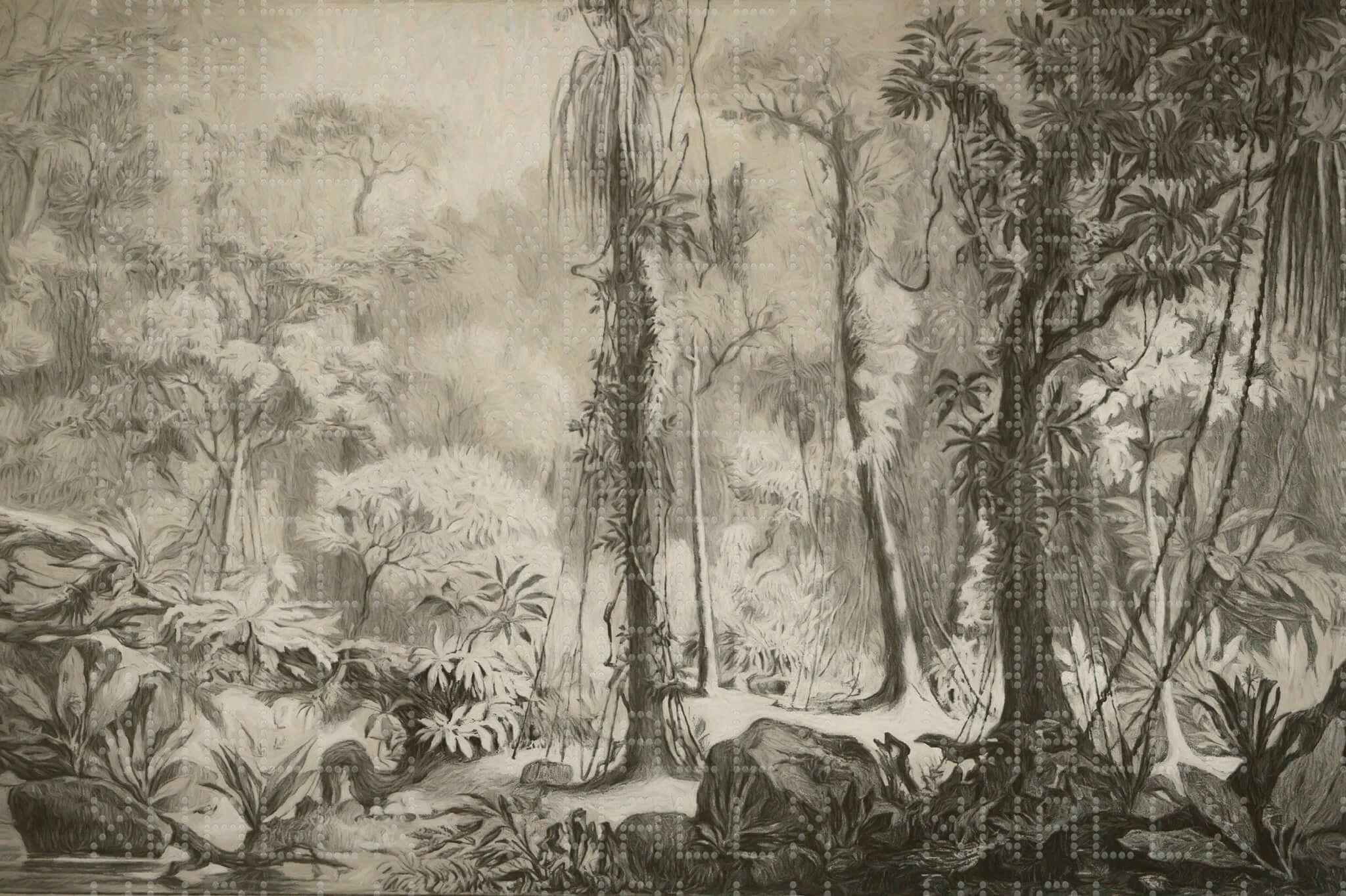 Monokrom Jungle İllüstrasyon Duvar Posteri