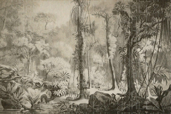 Monokrom Jungle İllüstrasyon Duvar Posteri - Sample