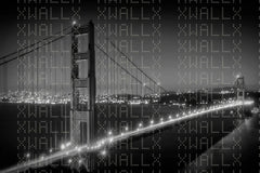 Nocturnal Golden Gate Wall Mural