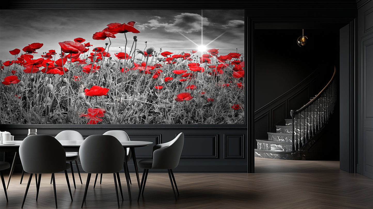 Sunburst Poppies Monochrome wallpaper - XWALLX