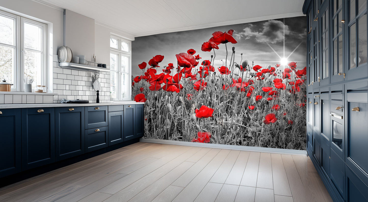 Sunburst Poppies Monochrome wall art - XWALLX