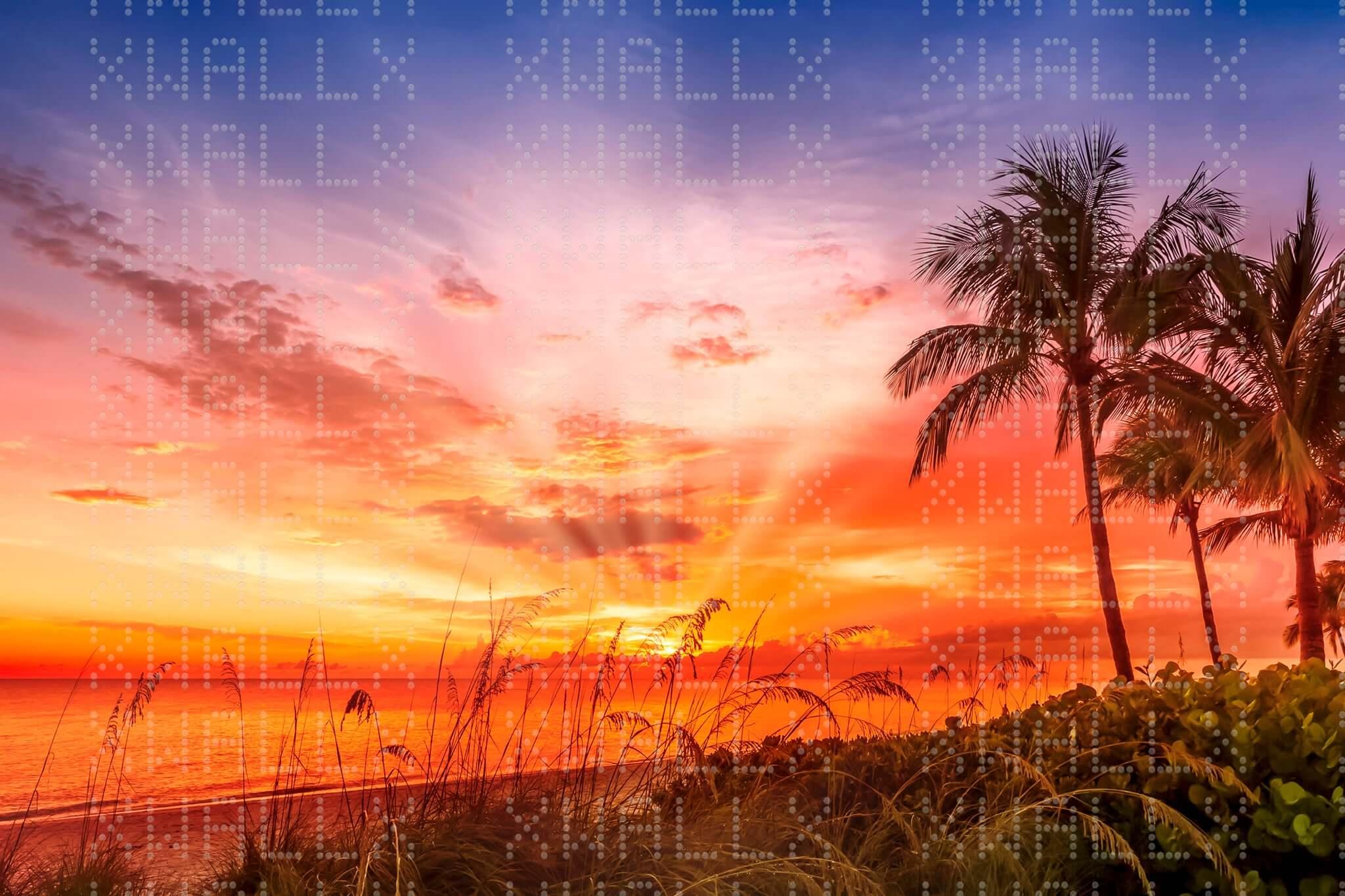 Vibrant Palm Sunset Wall Mural