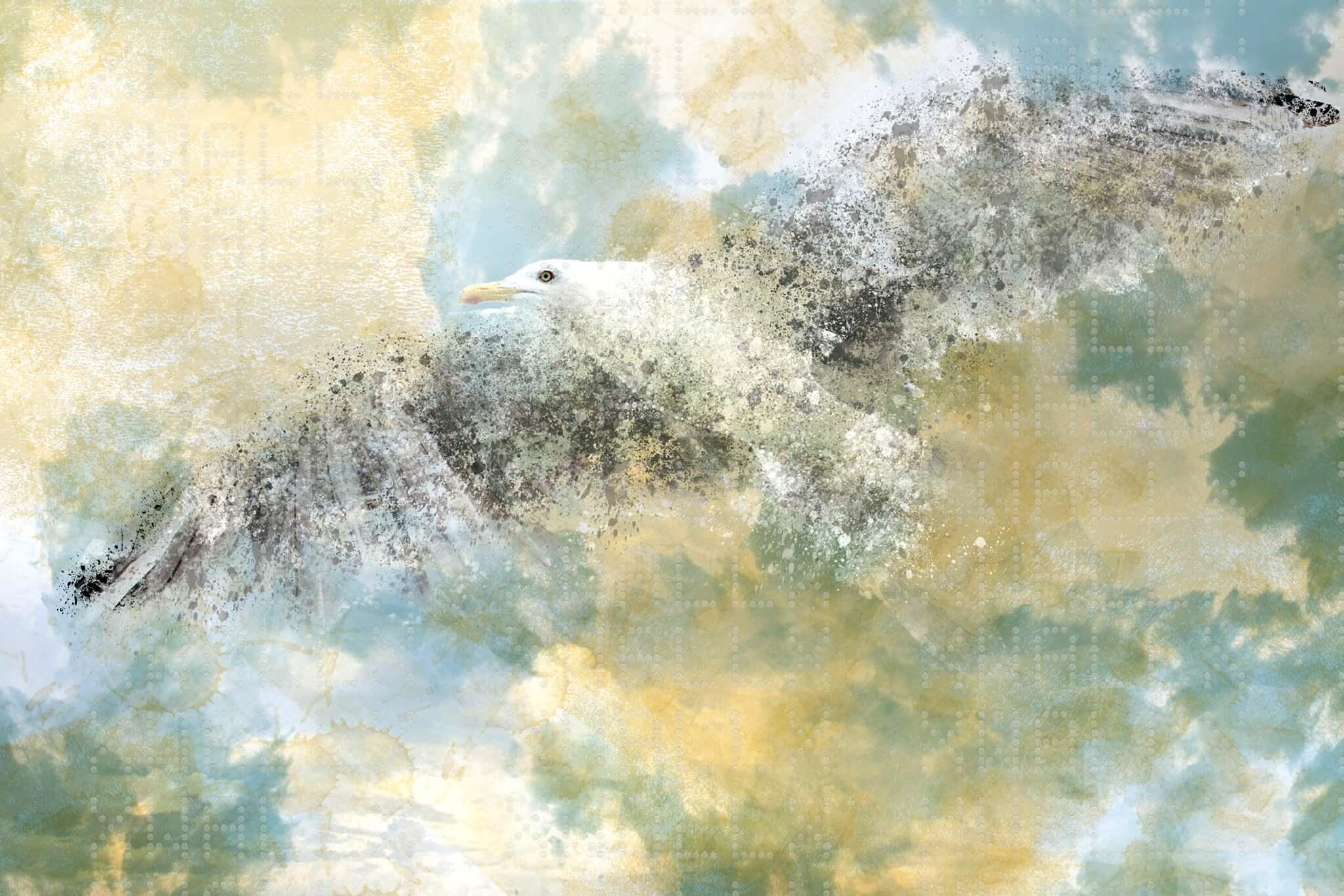 Soaring Seagull Abstract Wallpaper Mural