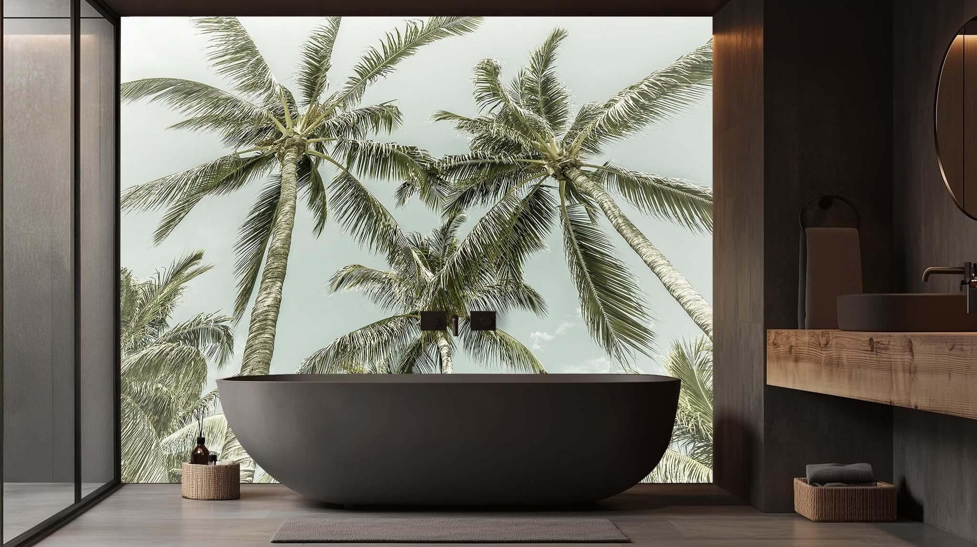 Serene Palm Canopy Duvar posteri - XWALLX