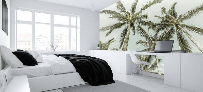 Serene Palm Canopy poster duvar kağıdı - XWALLX