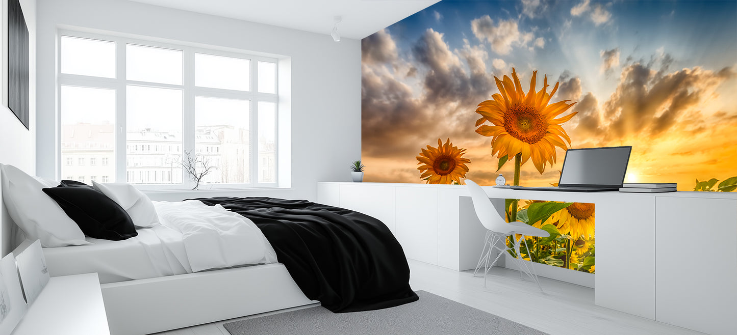 Sunset Sunflower Bath wallpaper mural - XWALLX
