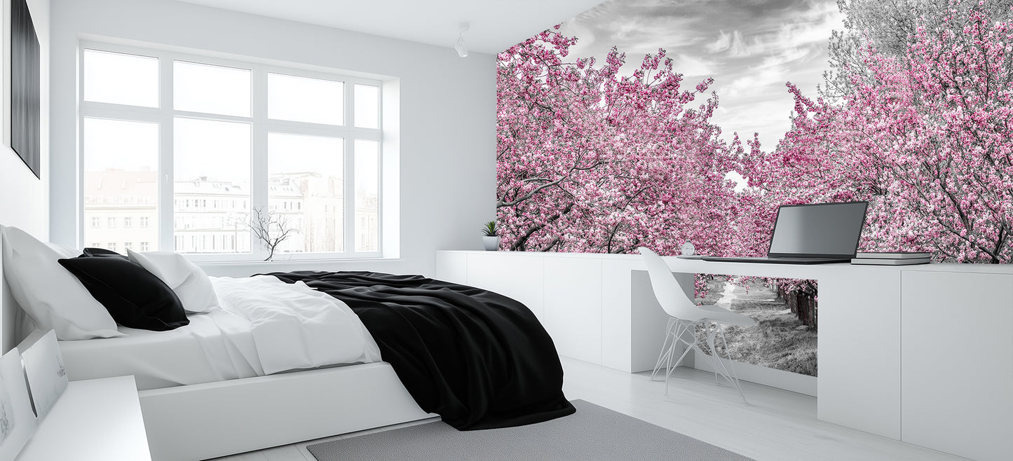 Pink Blossom Avenue wallpaper mural - XWALLX