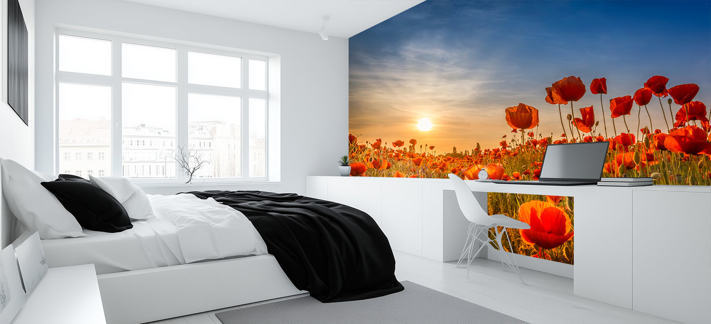 Sunset Poppy Field wallpaper mural - XWALLX