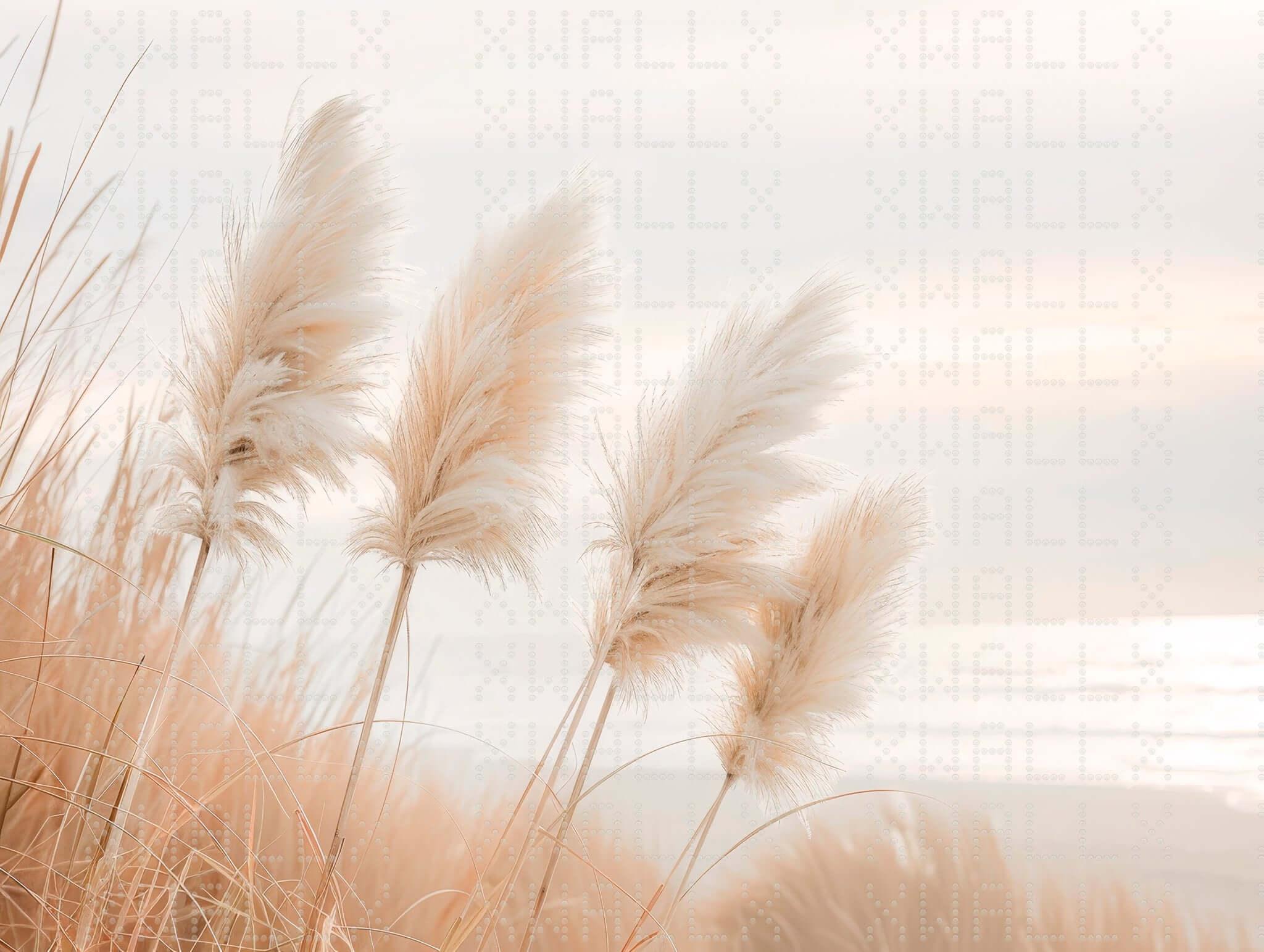 Soft Pampas Grass Wall Mural for Refined Spaces