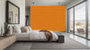 Vibrant Geometric Arches Wall Mural