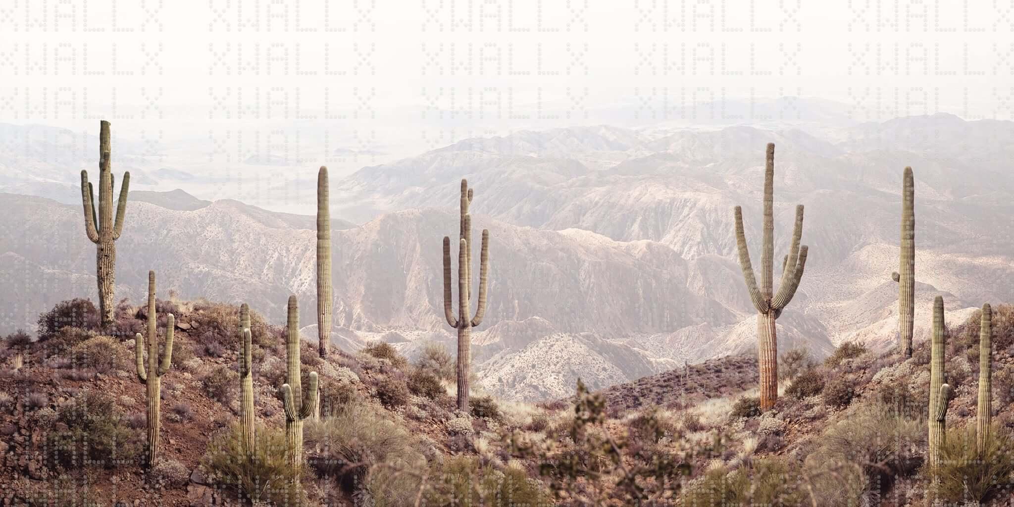Majestic Cactus Landscape Wall Mural