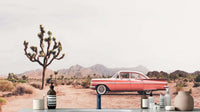 Vintage Pink Car Under Joshua Trees wall mural 
