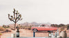 Vintage Pink Car Under Joshua Trees Wall Mural