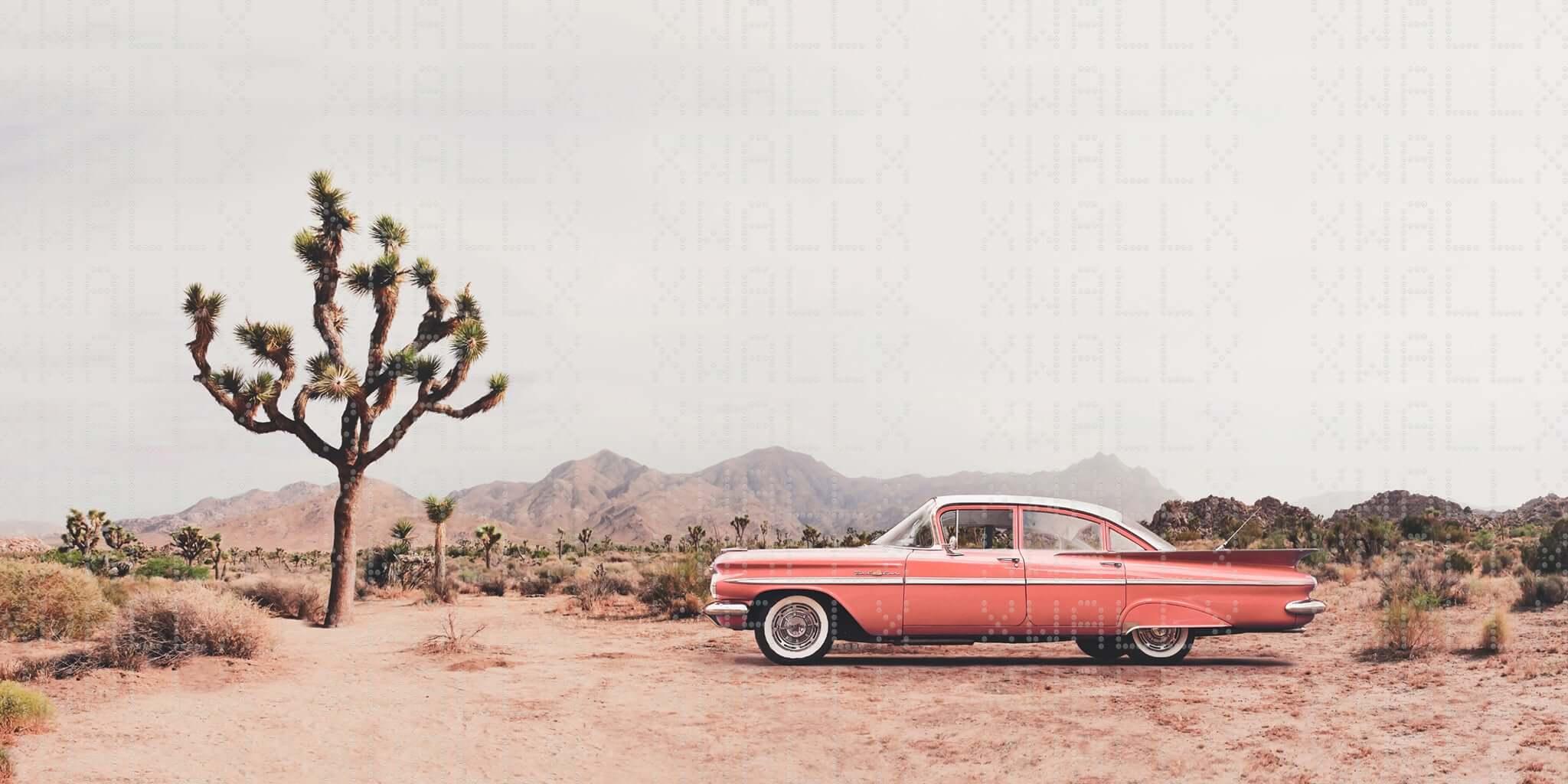 Vintage Pink Car Under Joshua Trees Wall Mural