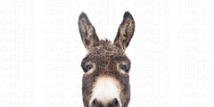 Charming Donkey Wall Mural for Playful Spaces