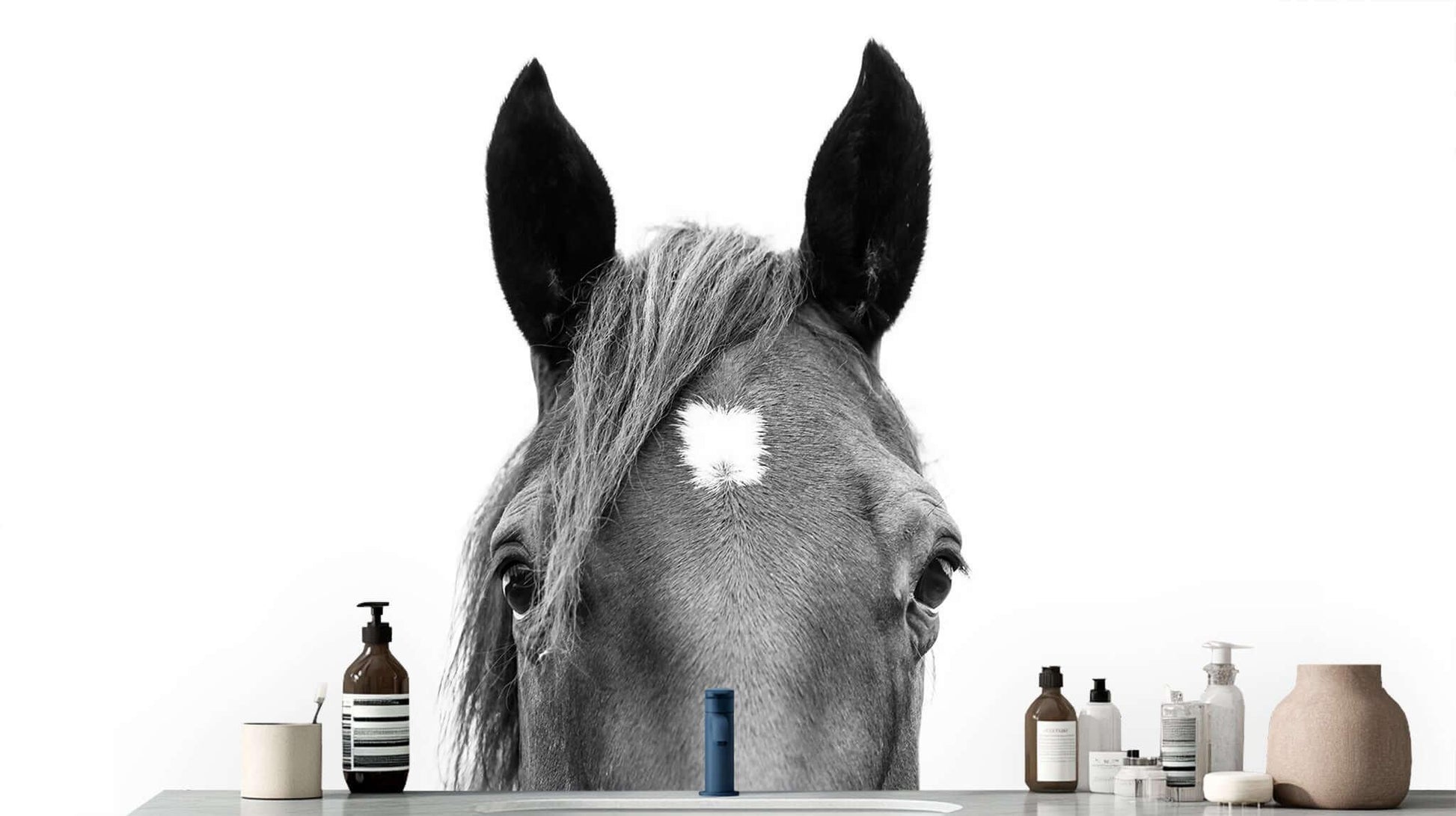 Majestic Horse Head wall mural - XWALLX