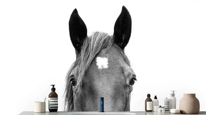 Majestic Horse Head wall mural - XWALLX