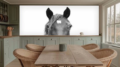 Majestic Horse Head wallpaper - XWALLX