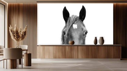 Majestic Horse Head wall art - XWALLX