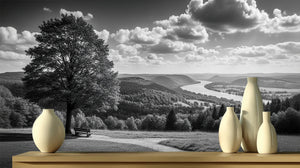 Contemporary Black & White wallpaper for Bedroom