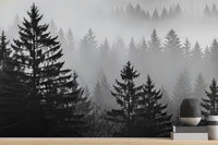 Contemporary Black & White wallpaper for Bedroom