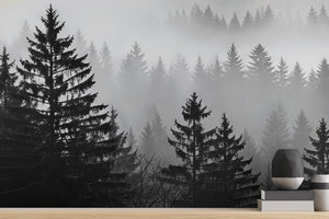 Contemporary Black & White wallpaper for Bedroom