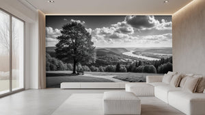 Contemporary Black & White wallpaper for Living Room