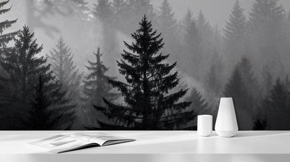 Contemporary Black & White wallpaper for Living Room
