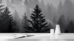 Contemporary Black & White wallpaper for Living Room