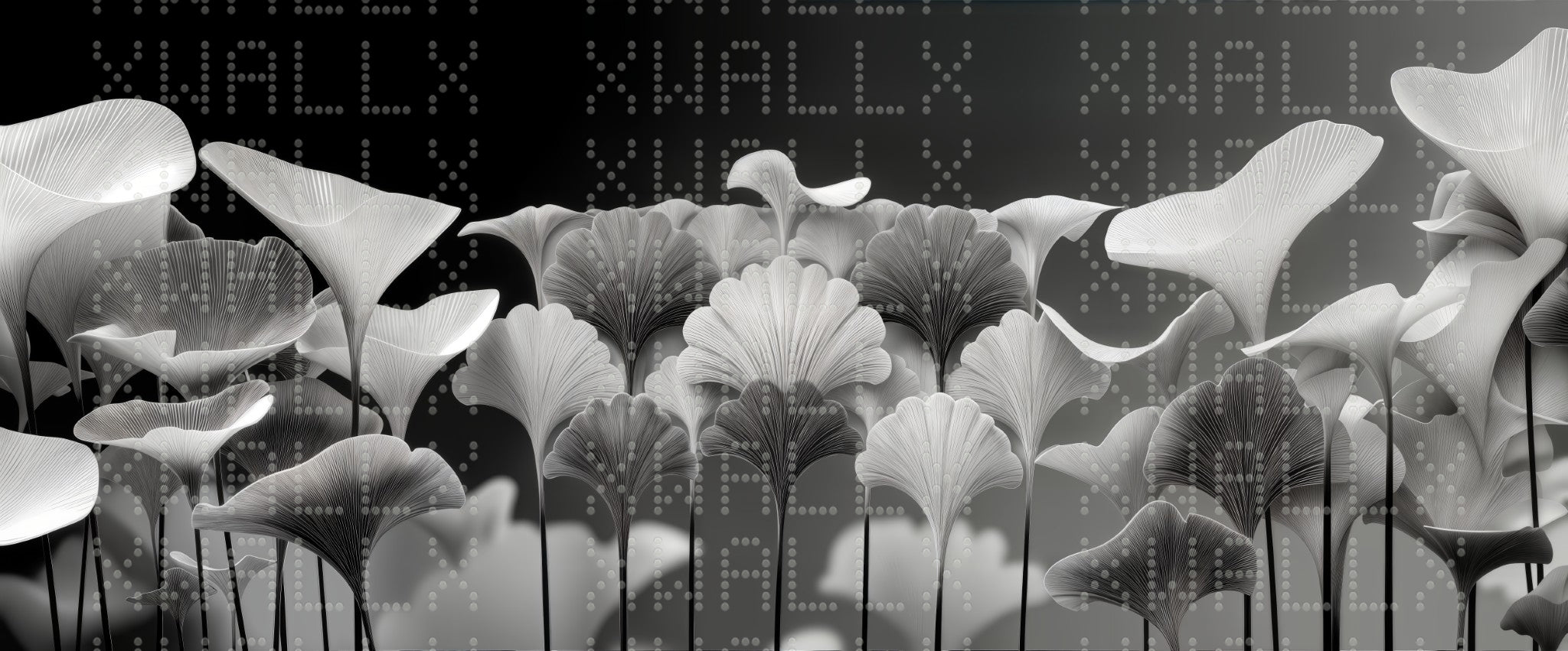 Monochrome Floral Burst Wallpaper