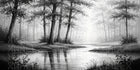 Serene Woodland Retreat Wallpaper