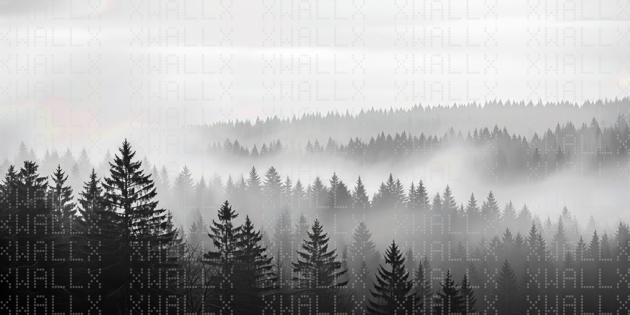Monochrome Misty Forest Wallpaper