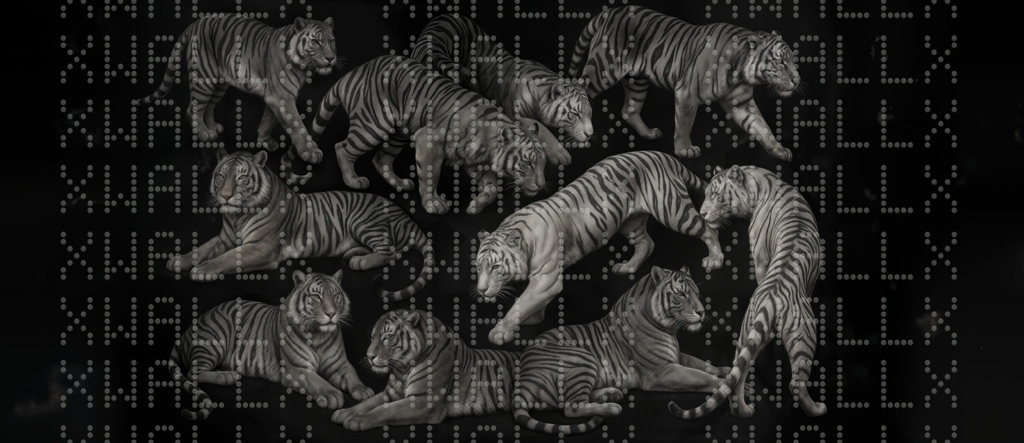 Majestic White Tiger Wallpaper
