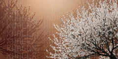Winter Blossom Silhouette Wallpaper