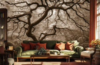 Contemporary Brown wallpaper for Living Room