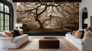 Contemporary Brown wallpaper for Living Room
