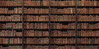Classic Library Shelf Wallpaper