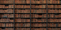 Classic Library Shelf Wallpaper