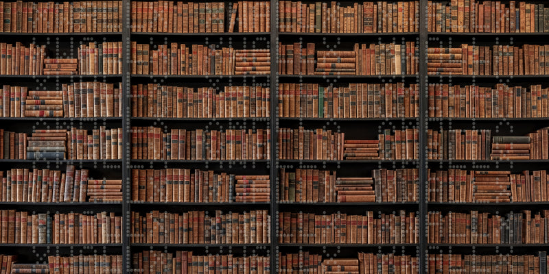 Classic Library Shelf Wallpaper