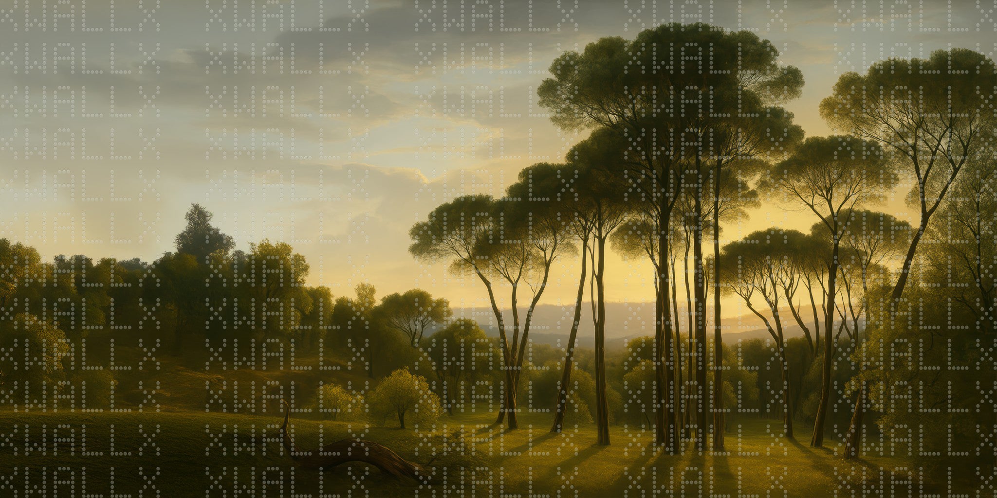 Golden Dawn Forest Wallpaper