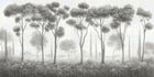 Monochrome Forest Silhouette Wallpaper