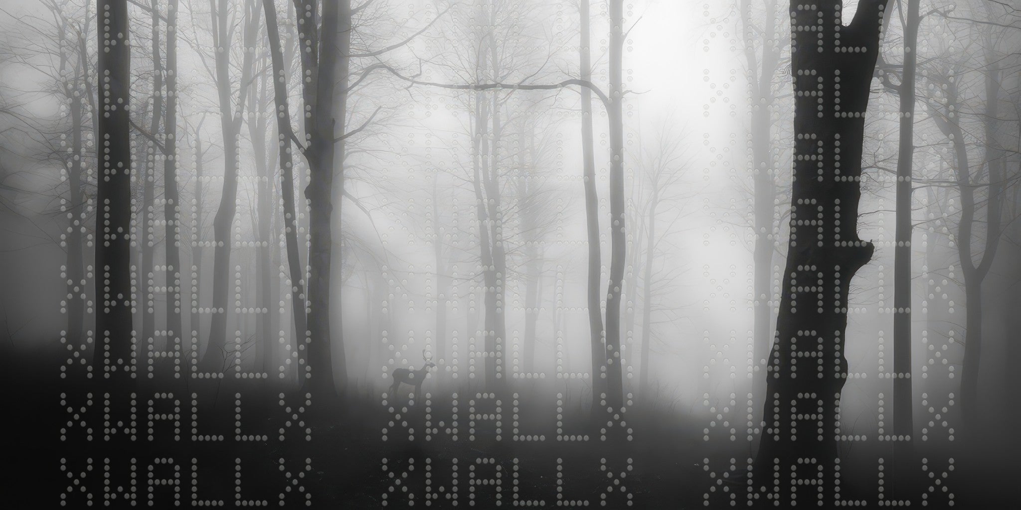 Mystical Misty Forest Wallpaper